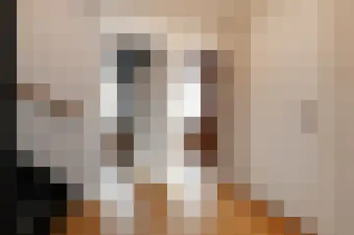 Zijlberg 69 Zoetermeer thumbnail 41