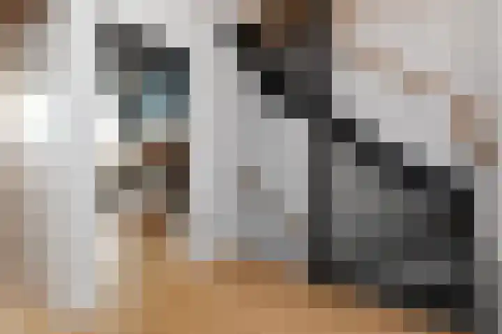 Zijlberg 69 Zoetermeer thumbnail 51