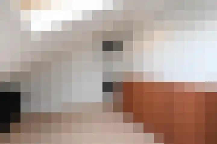 Zijlberg 69 Zoetermeer thumbnail 59