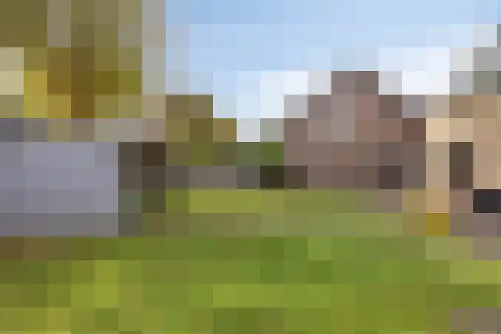 Zijlbergsestraat 16 Made thumbnail 35