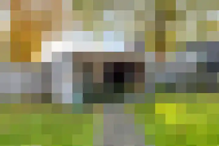 Zijlbergsestraat 16 Made thumbnail 36