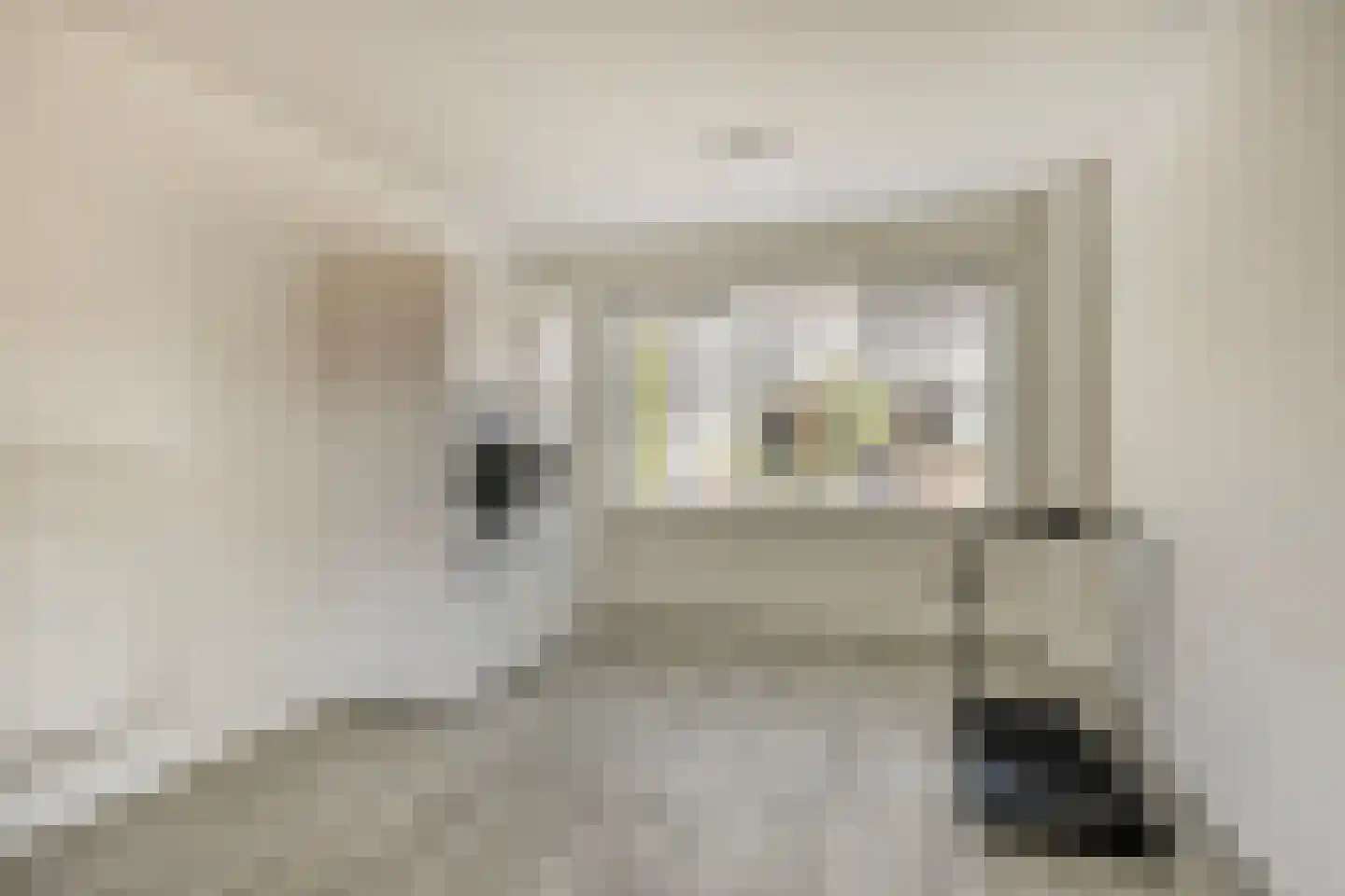 Zijlbergsestraat 2 A Made thumbnail 22