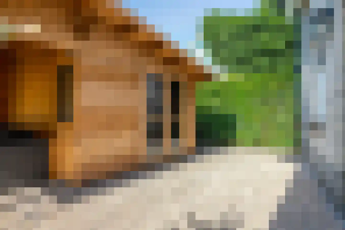 Zijlbergsestraat 2 A Made thumbnail 48