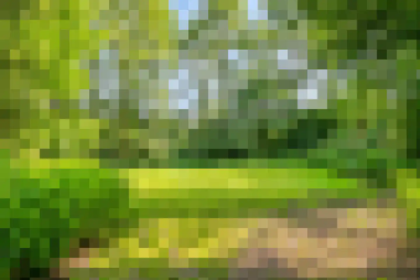 Zijlbergsestraat 2 A Made thumbnail 53