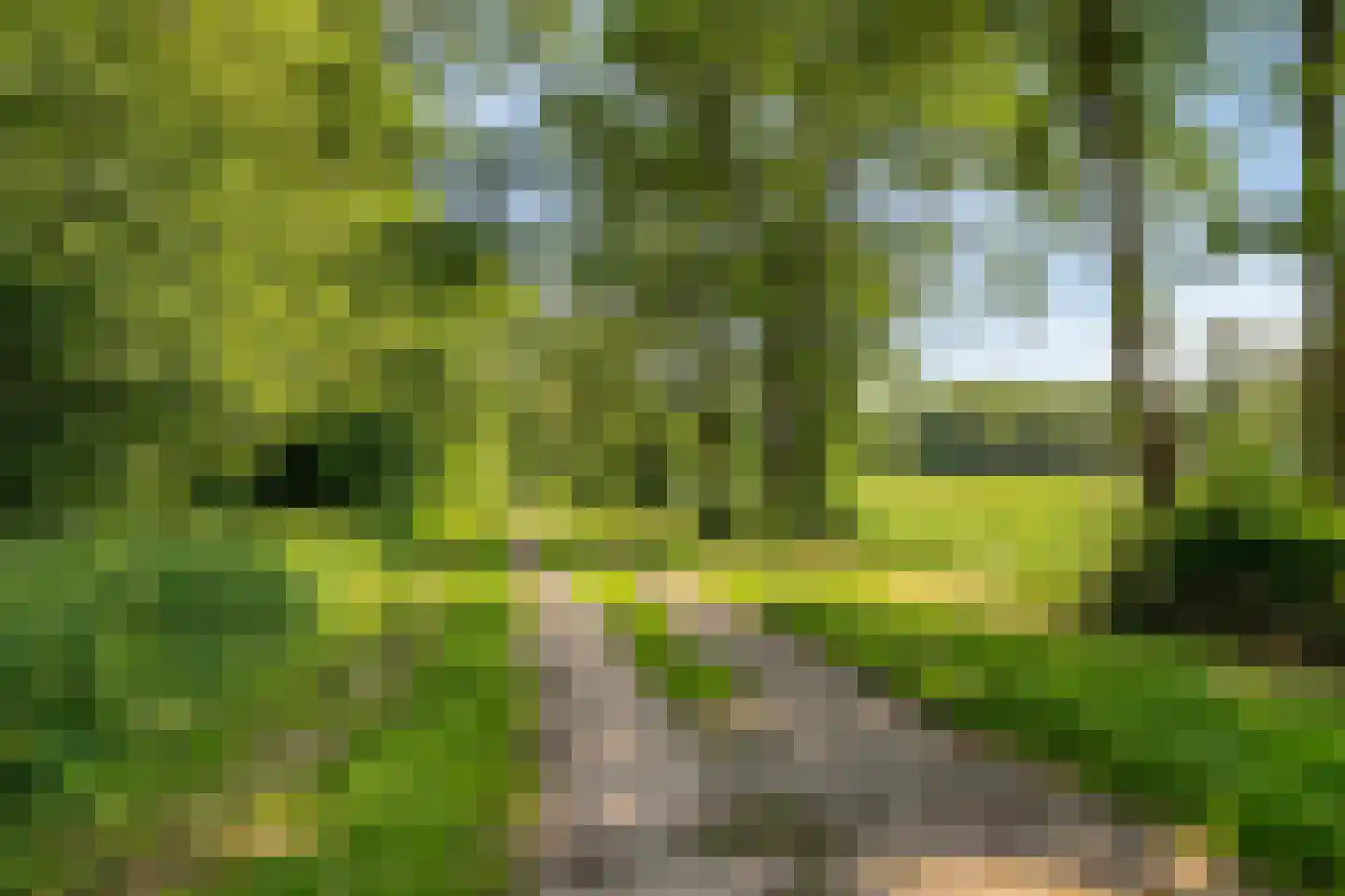 Zijlbergsestraat 2 A Made thumbnail 54