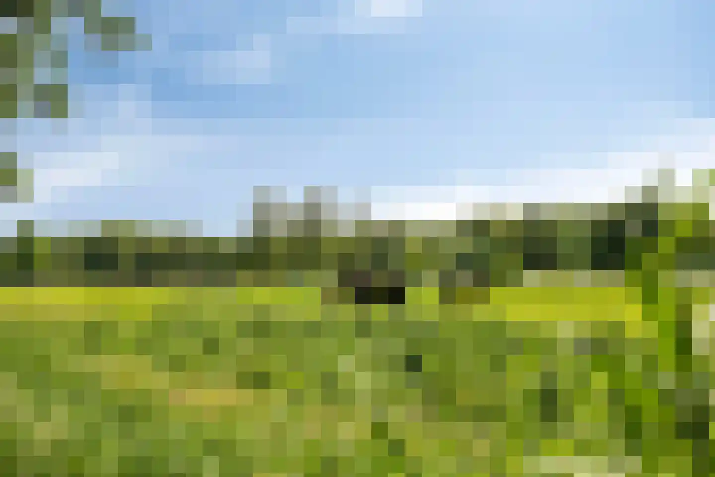 Zijlbergsestraat 2 A Made thumbnail 55