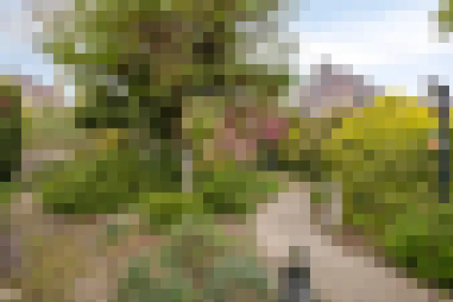 Zijlbergsestraat 35 Made thumbnail 32
