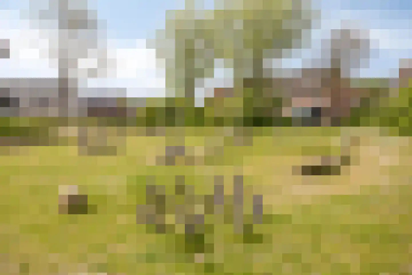 Zijlbergsestraat 35 Made thumbnail 35