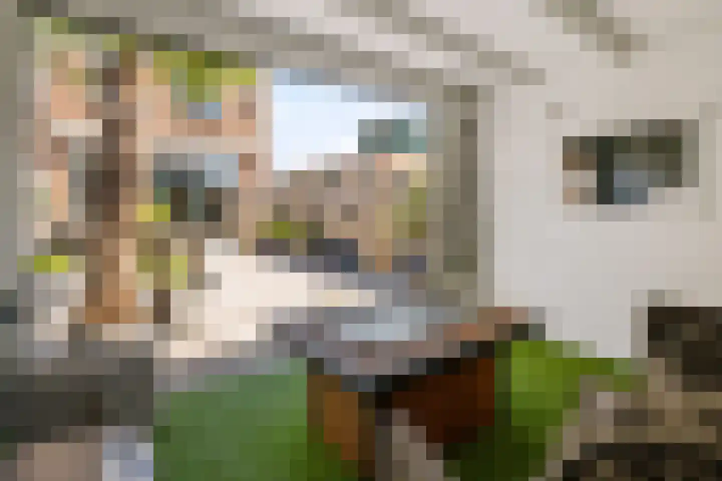 Zijldiep 16 Dordrecht thumbnail 31