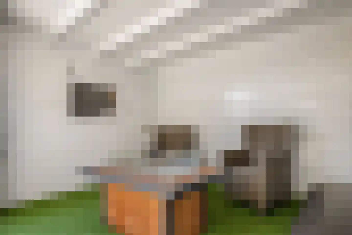 Zijldiep 16 Dordrecht thumbnail 32