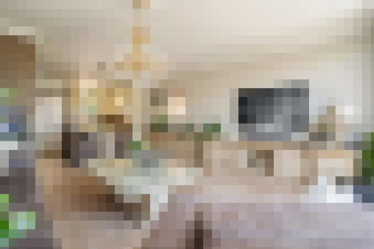 Zijldiep 16 Dordrecht thumbnail 7