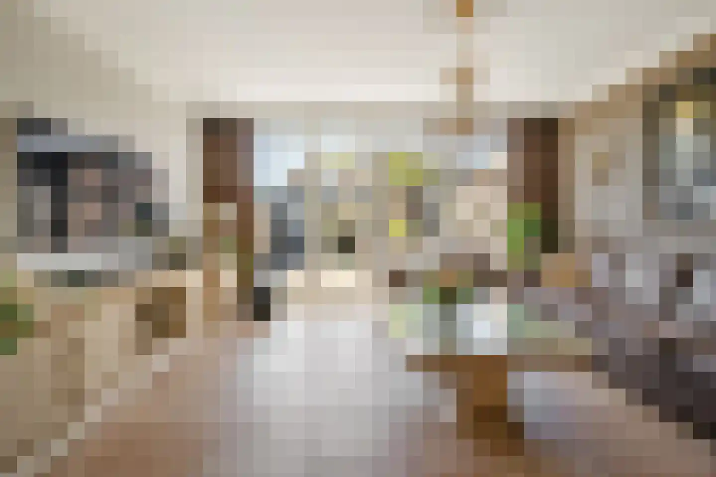 Zijldiep 16 Dordrecht thumbnail 8