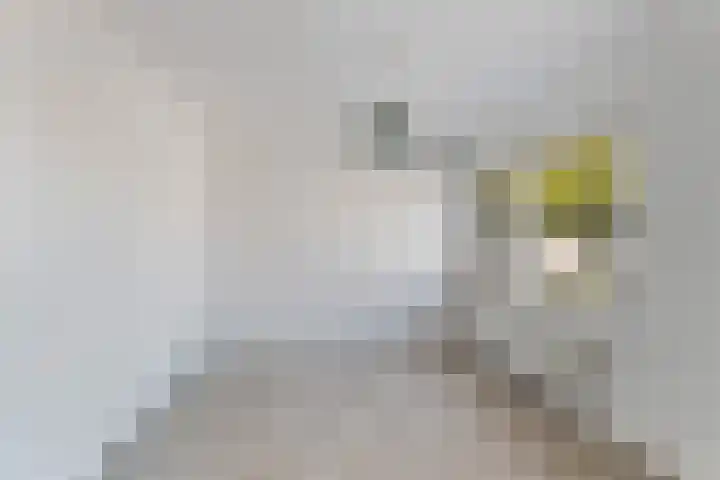 Zijldiep 23 Dordrecht thumbnail 16
