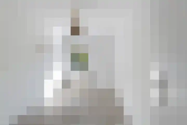 Zijldiep 23 Dordrecht thumbnail 20