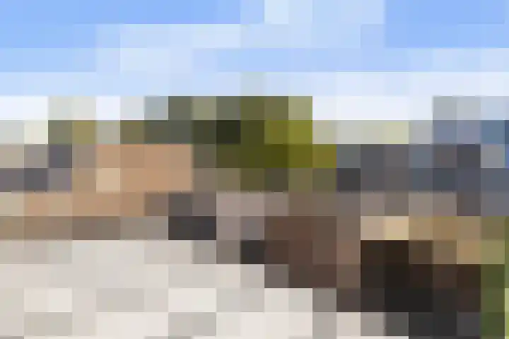 Zijldiep 23 Dordrecht thumbnail 25