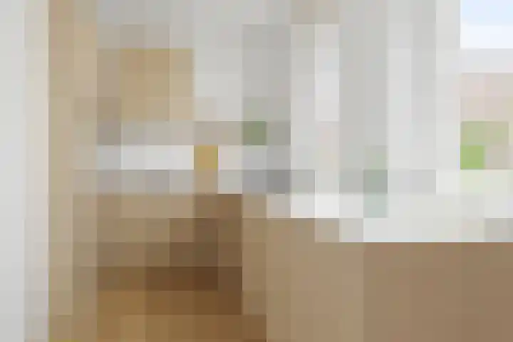Zijldiep 41 Dordrecht thumbnail 11