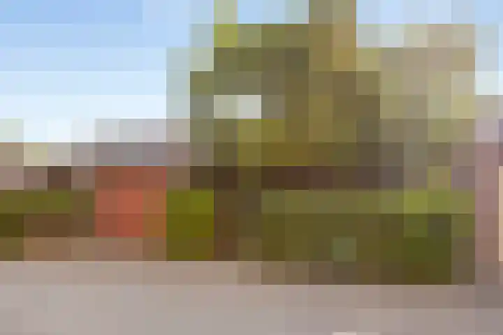 Zijldiep 41 Dordrecht thumbnail 31