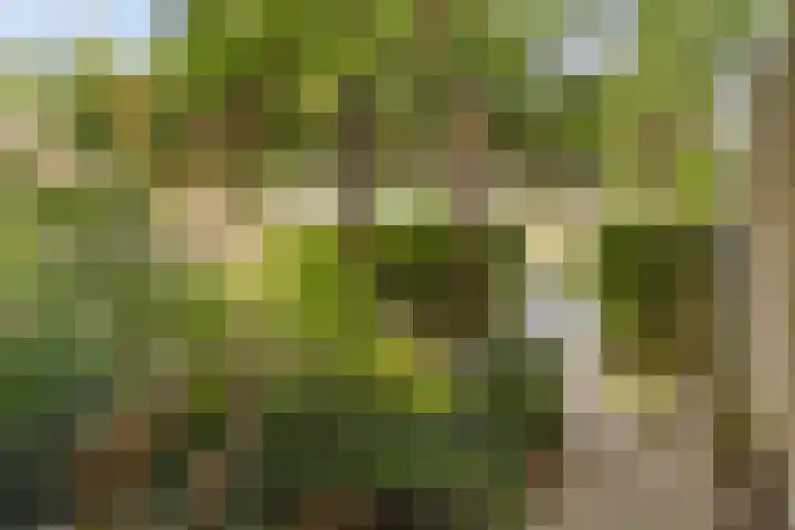 Zijldiep 41 Dordrecht thumbnail 33