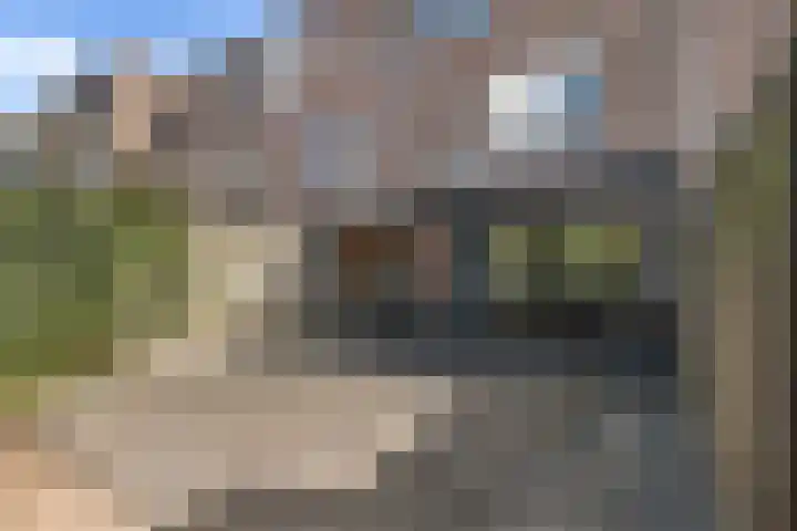 Zijldiep 58 Dordrecht thumbnail 18