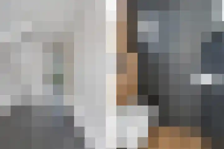 Zijldiep 58 Dordrecht thumbnail 5