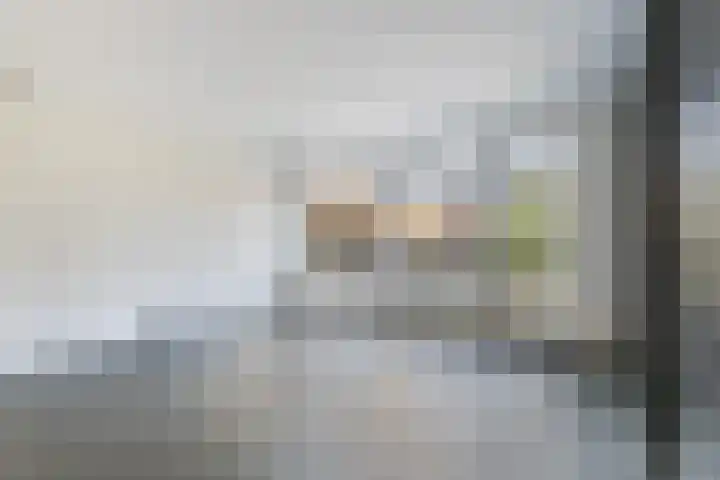 Zijldiep 58 Dordrecht thumbnail 9