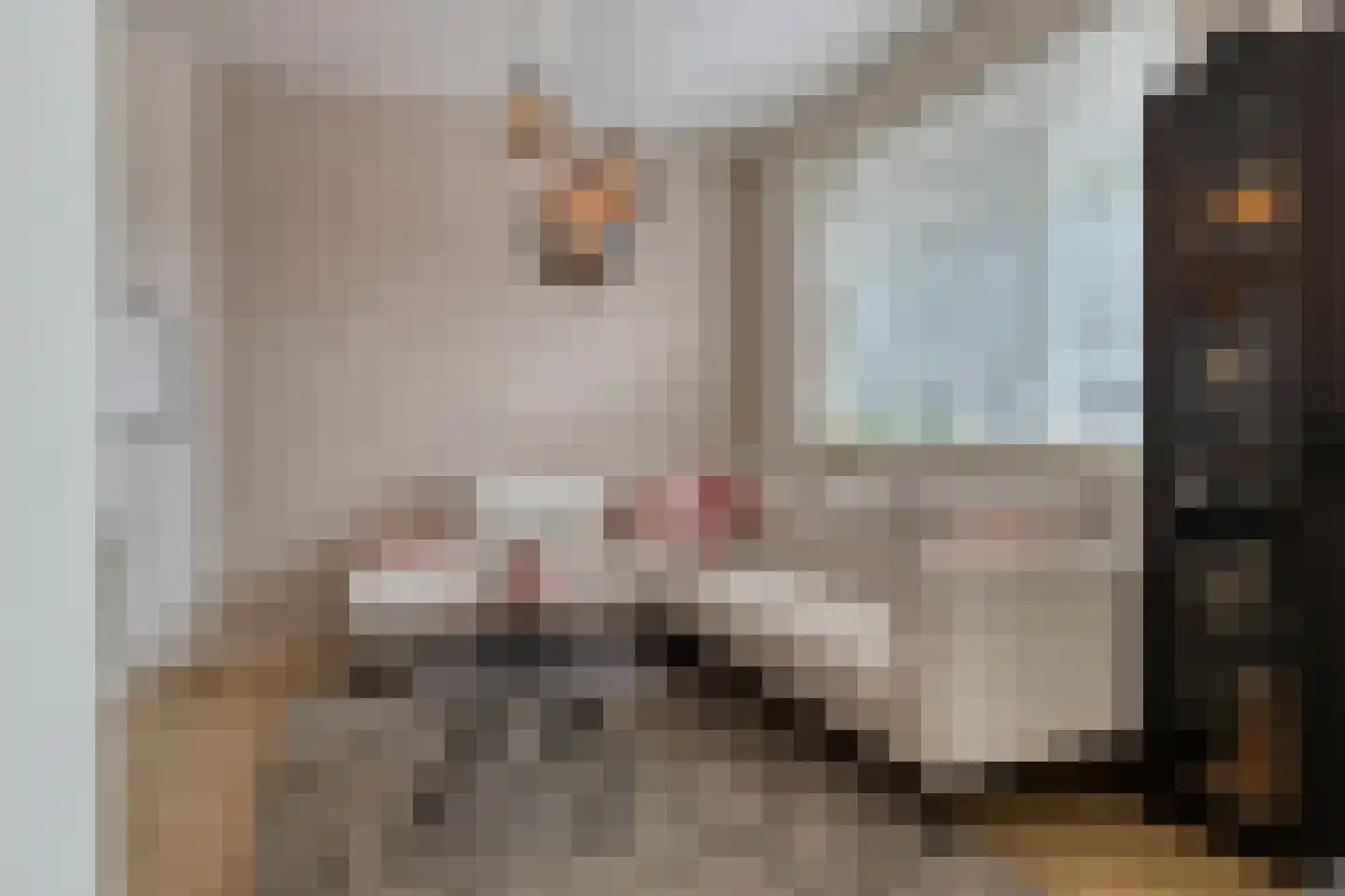 Zijldiepstraat 10 Utrecht thumbnail 7