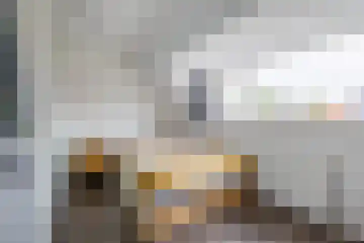 Zijldiepstraat 6 B Utrecht thumbnail 22