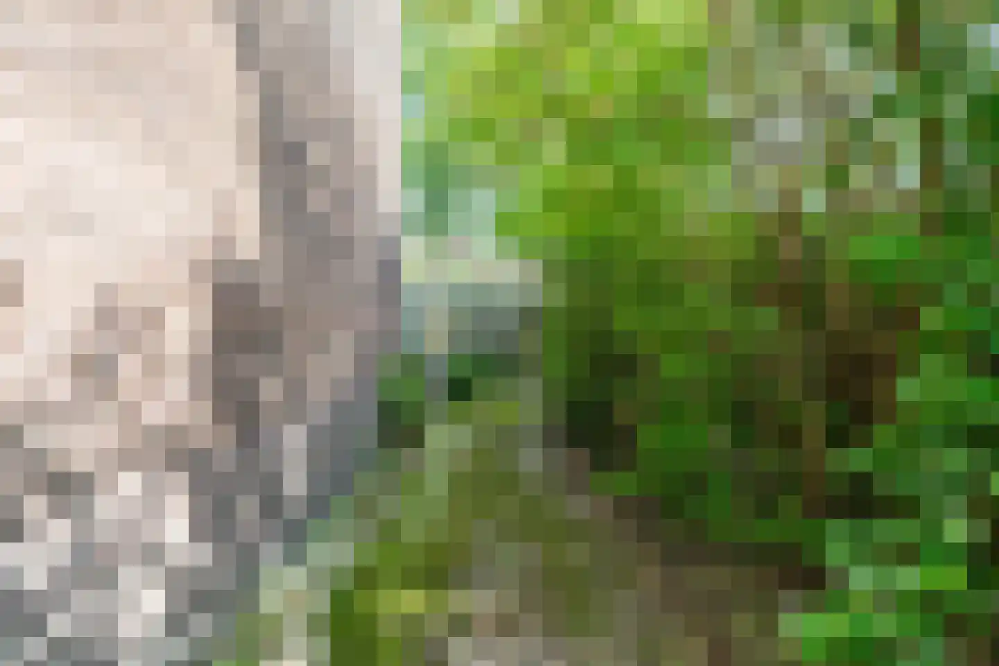 Zijldijk 6 Leiderdorp thumbnail 26