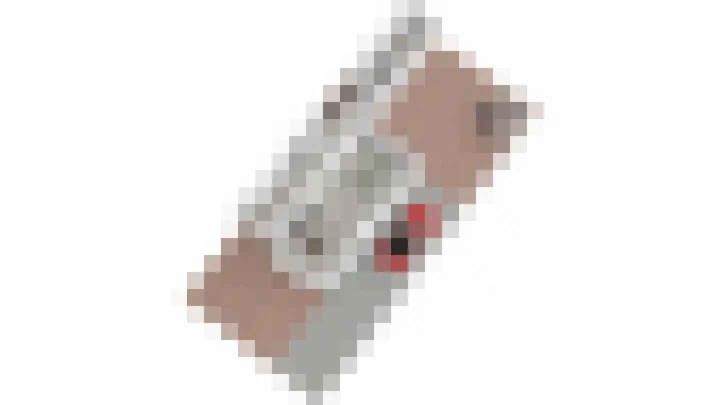 Zijldijk 6 Leiderdorp thumbnail 60