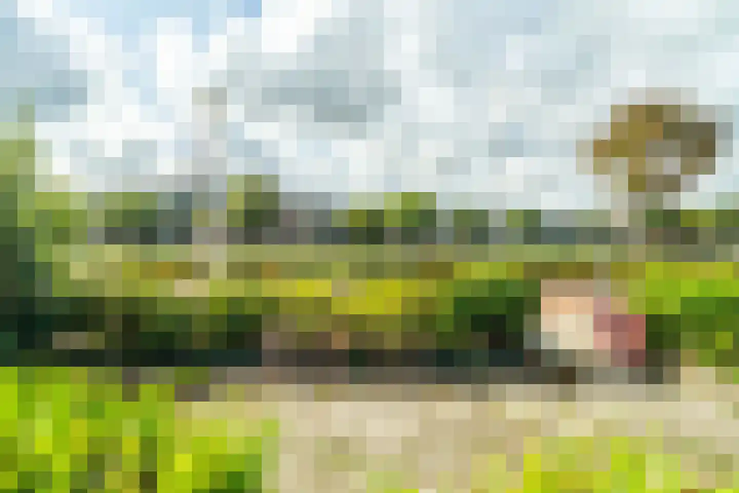 Zijldijk 6 Leiderdorp thumbnail 9