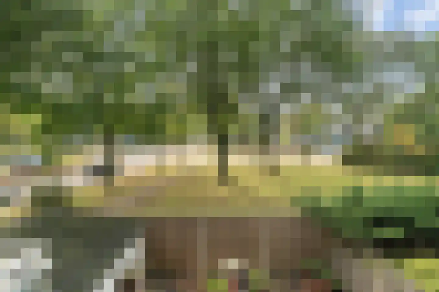 Zijldonk 11 Leiden thumbnail 10