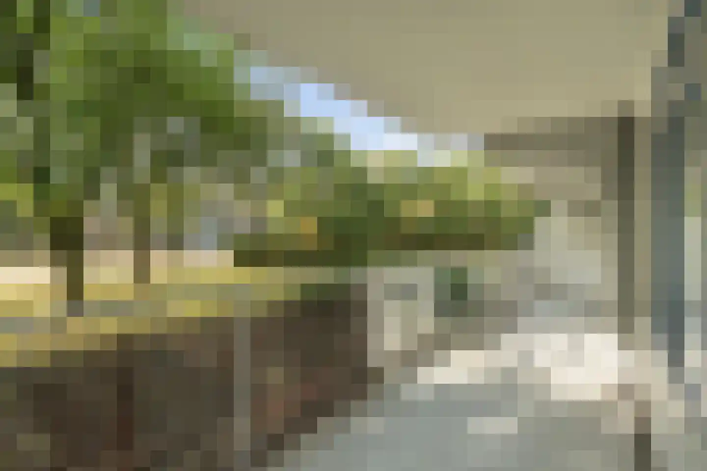 Zijldonk 11 Leiden thumbnail 11