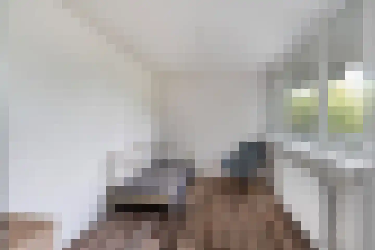 Zijldonk 11 Leiden thumbnail 22
