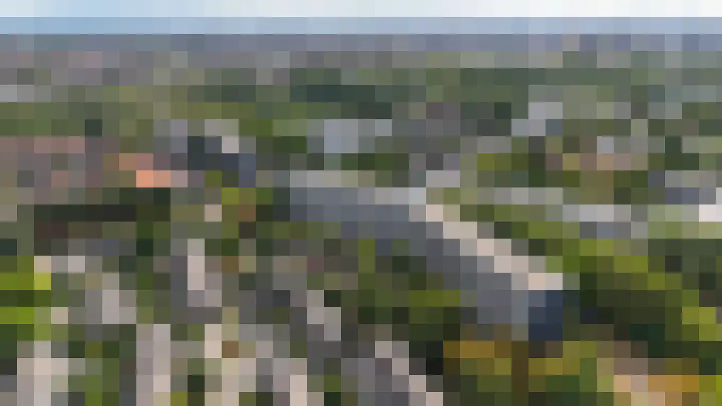 Zijldonk 11 Leiden thumbnail 29