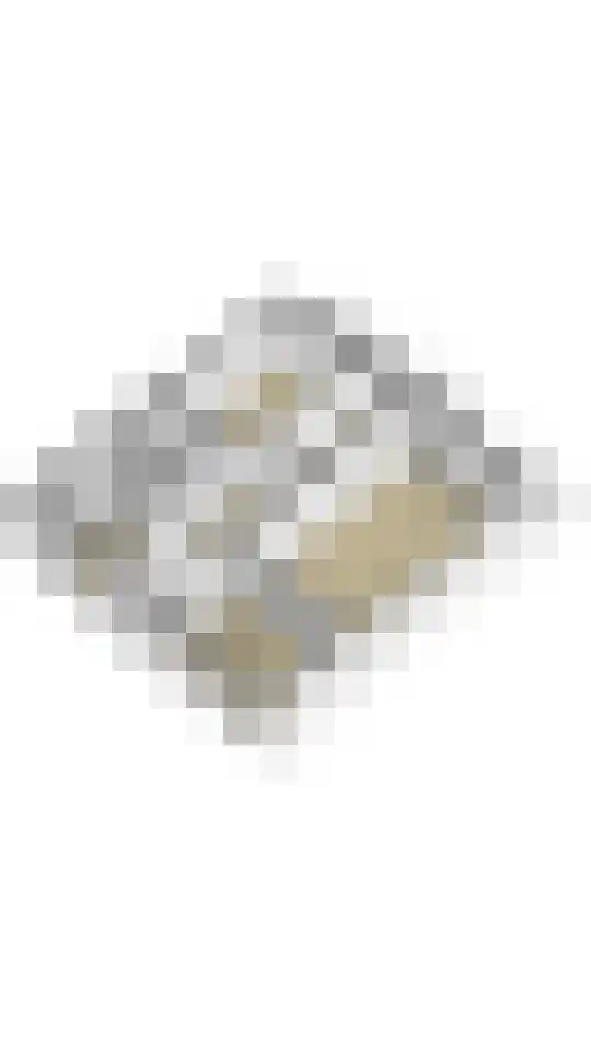Zijldonk 11 Leiden thumbnail 32