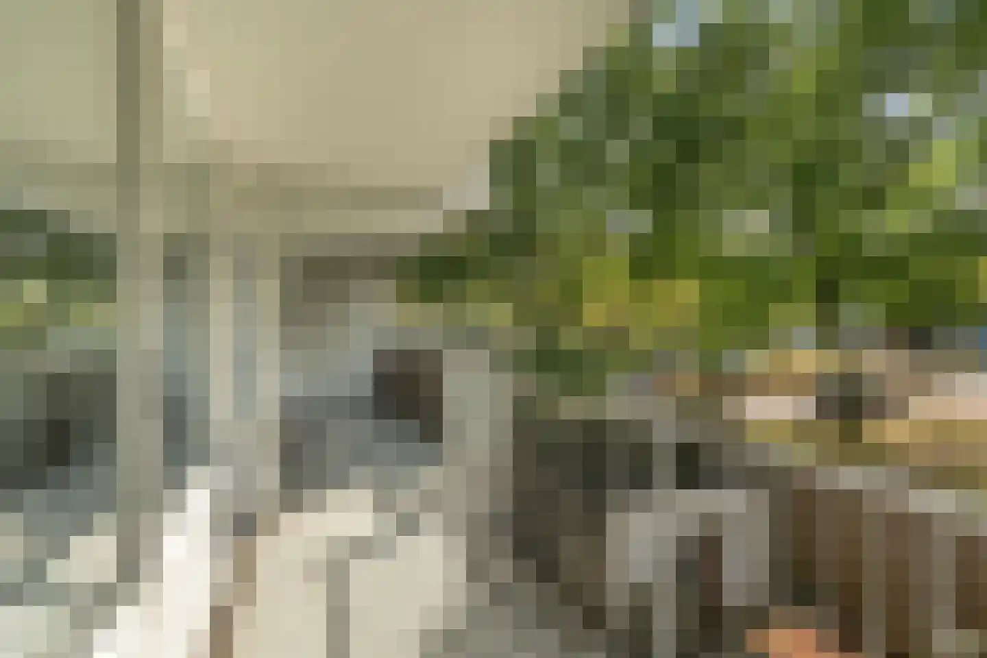 Zijldonk 11 Leiden thumbnail 9