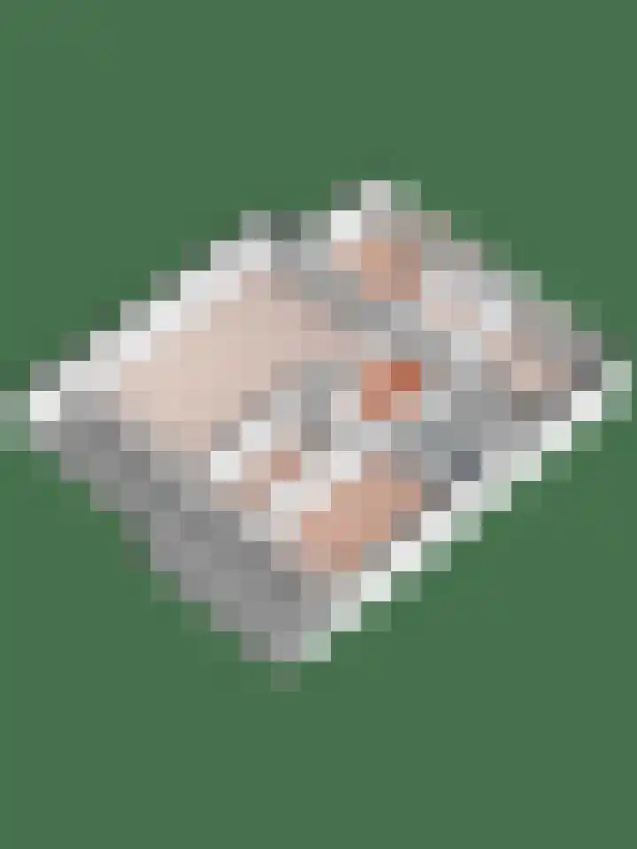 Zijldonk 139 Leiden thumbnail 41