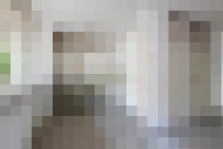 Zijldonk 2 Leiden thumbnail 11
