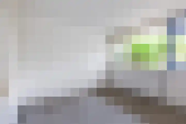 Zijldonk 2 Leiden thumbnail 18