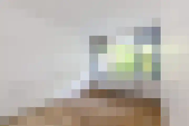 Zijldonk 2 Leiden thumbnail 20