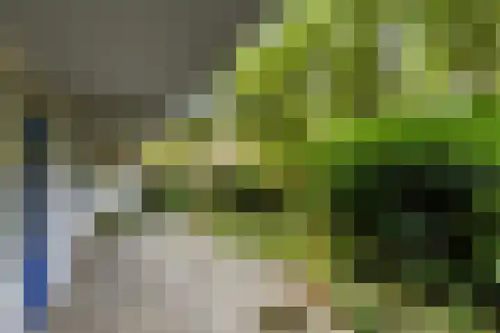 Zijldonk 2 Leiden thumbnail 21