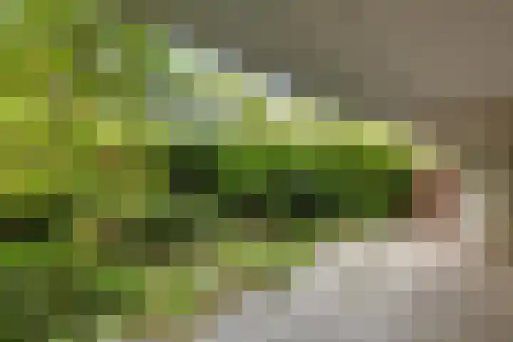 Zijldonk 2 Leiden thumbnail 22