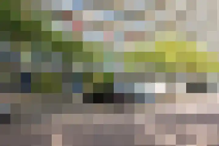Zijldonk 2 Leiden thumbnail 4