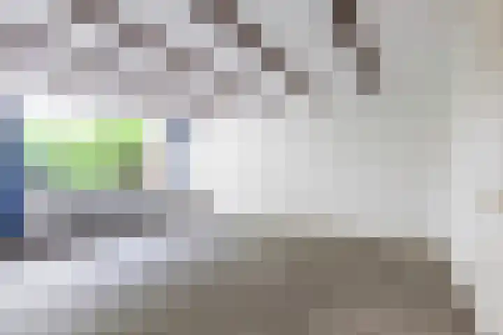 Zijldonk 2 Leiden thumbnail 8