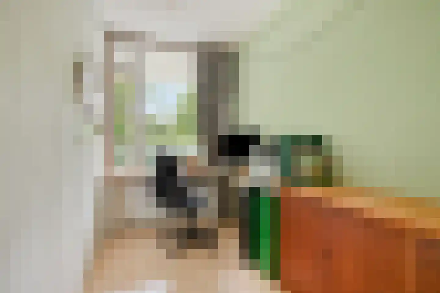 Zijldonk 26 Leiden thumbnail 20