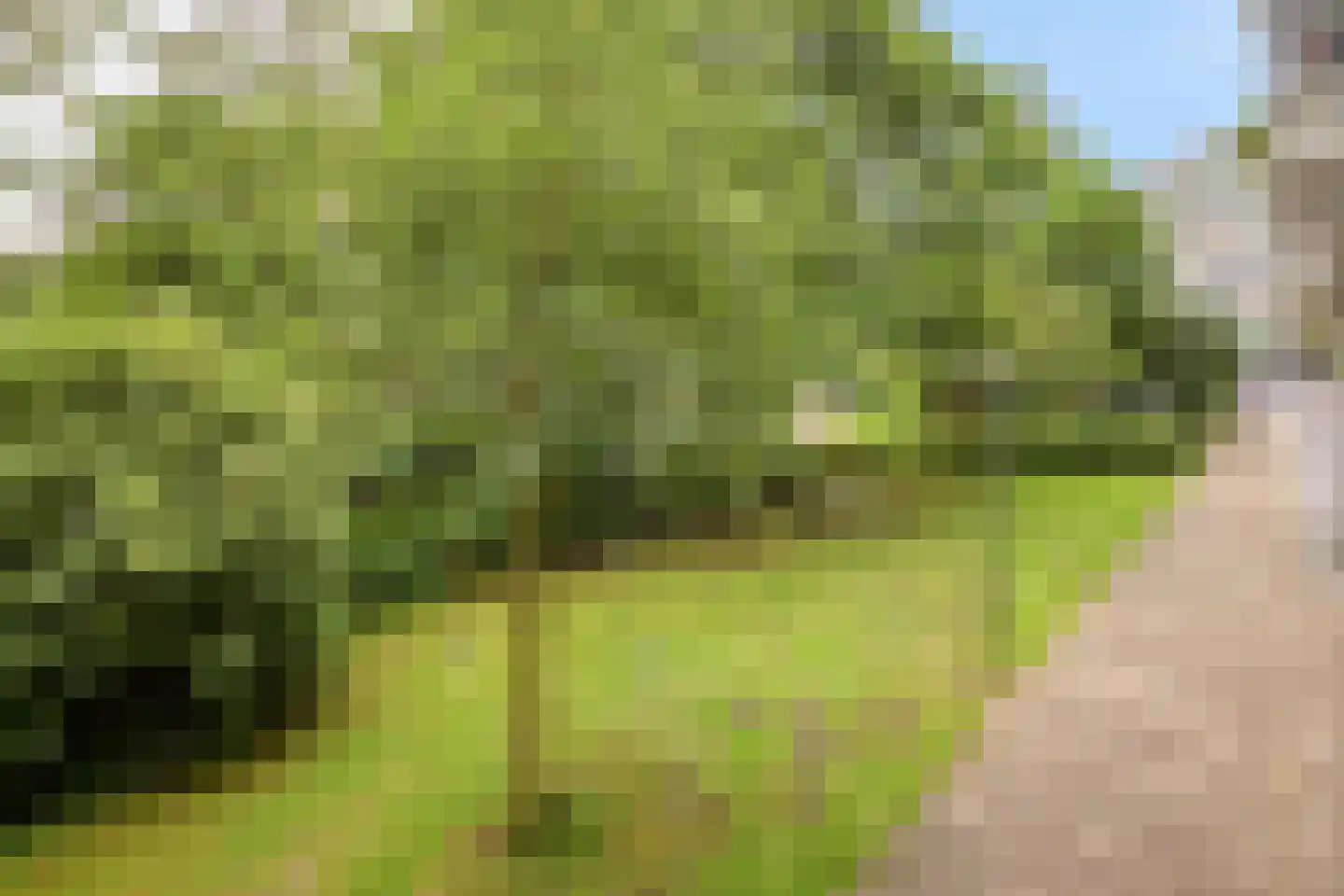 Zijldonk 26 Leiden thumbnail 25