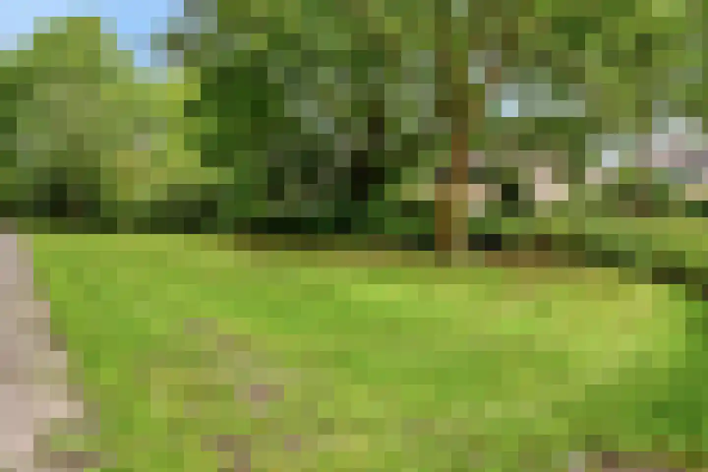 Zijldonk 26 Leiden thumbnail 26