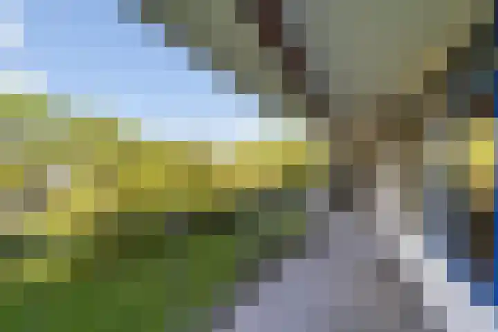 Zijldonk 53 Leiden thumbnail 24