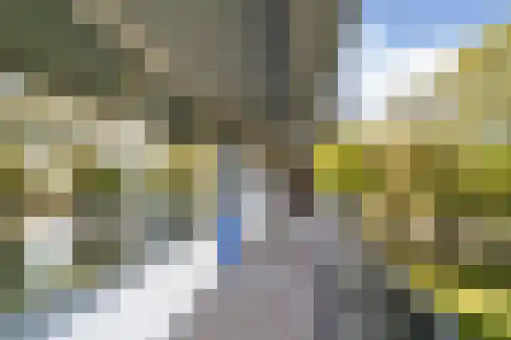 Zijldonk 53 Leiden thumbnail 25