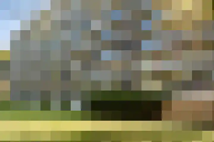 Zijldonk 53 Leiden thumbnail 26